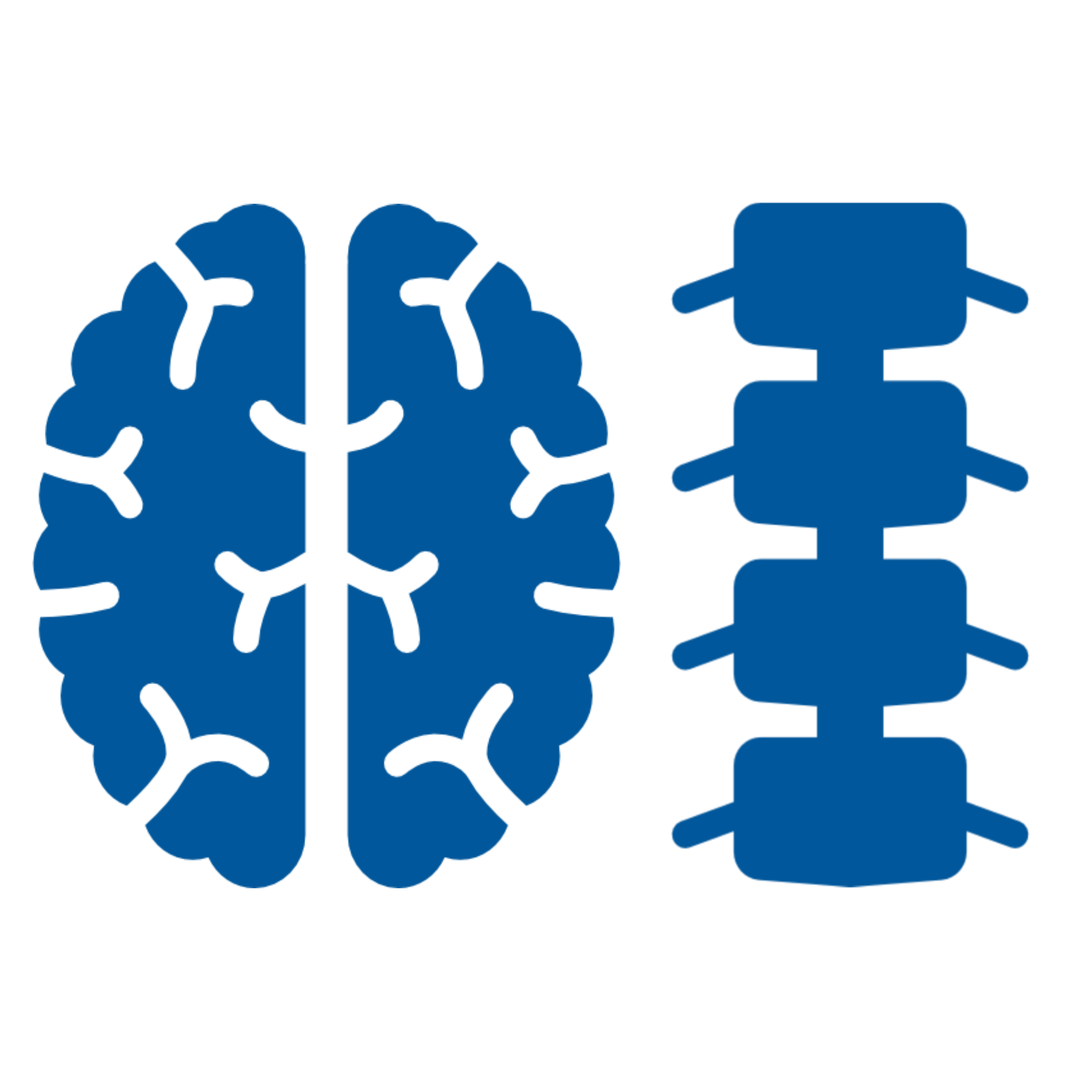 Neuro / Spine Surgery